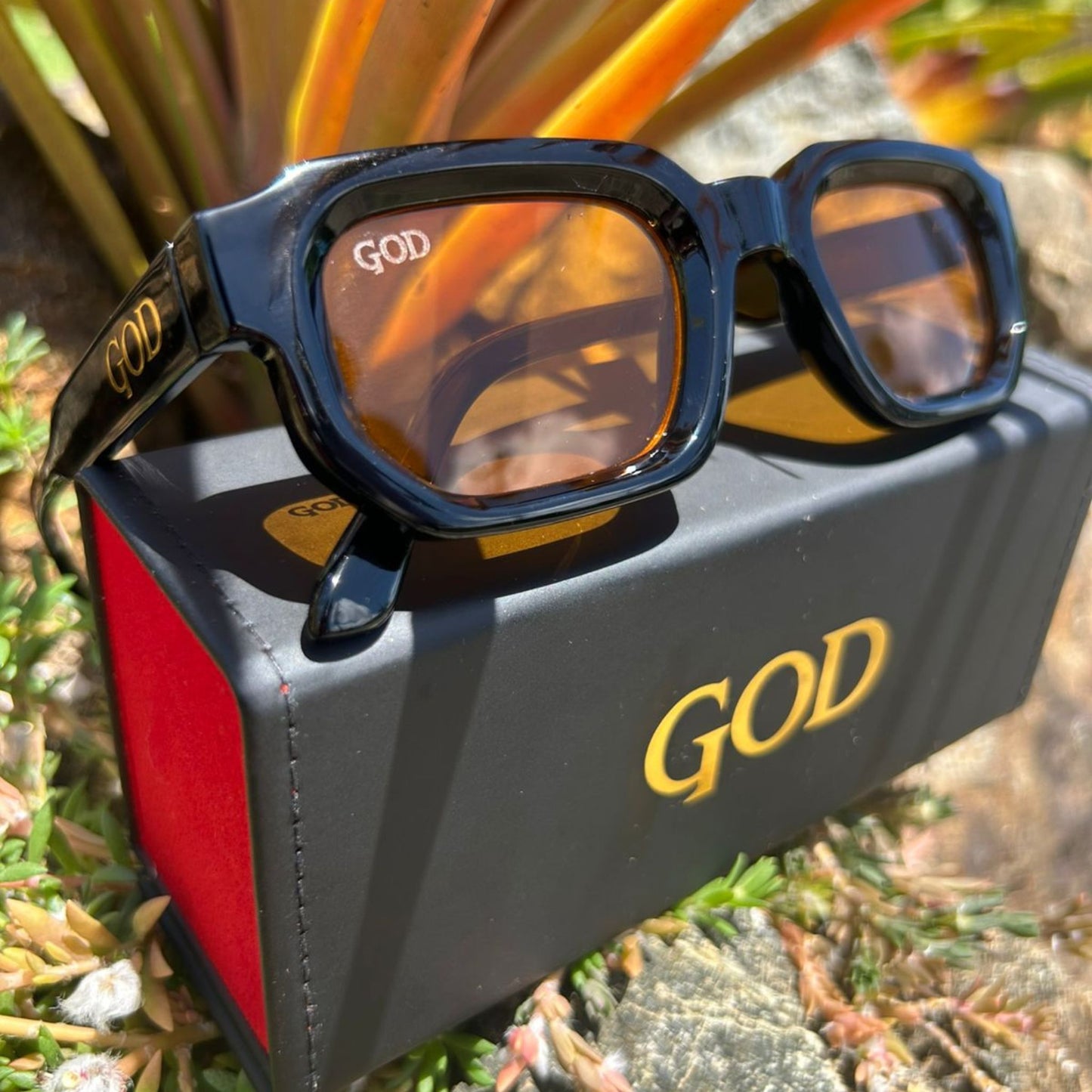 Island God black chunky rectangle sunglasses with amber-tinted lenses and gold logo, displayed on branded case outdoors with tropical plants.